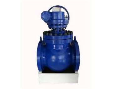 ���հ����y�S�ҽo����B�������y�ĽY�����c